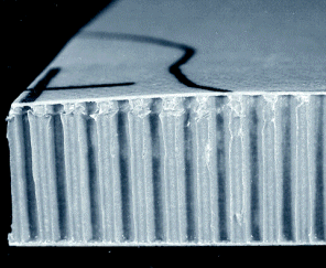Honeycomb crushing in panel due to a deformable body impact