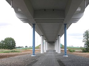 Rocking struts beneath back cable hangar anchorages